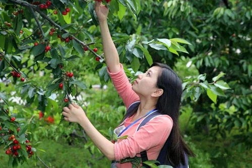 肥西县变 废 为 宝 使闲置资产成为乡村旅游中一道靓丽的风景线