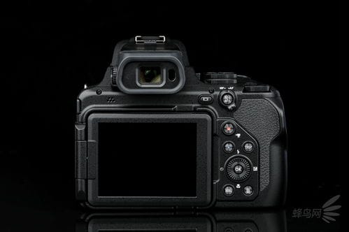3000mm超级远摄 尼康P1000长焦相机图赏 