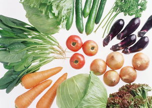 绿色食品：健康环保的饮食选择