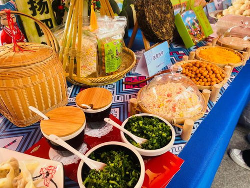 味蕾之旅：探索中国美食文化