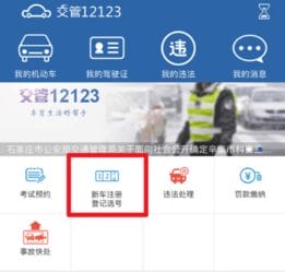 交管12123怎么选车牌号 新车预选车牌教程