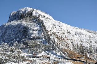 雪美,记忆美 南方人,登上轿子雪山看雪