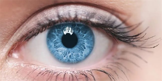 人的眼睛有多少像素 人眼像素高还是手机像素高
