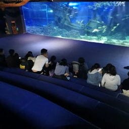 2019江和美海洋公园 旅游攻略 门票 地址 问答 游记点评,杭州旅游旅游景点推荐 去哪儿攻略 