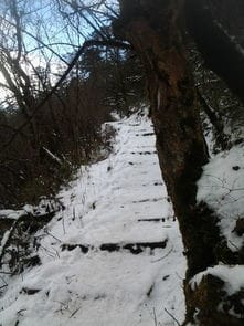 西岭雪山下雪了吗 2012年12月,准备12月25号去,不知道下雪没有 