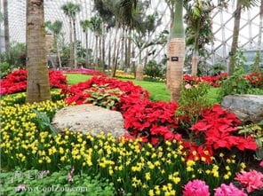 河东动植物园门票多少钱辰山植物园门票60岁(辰山植物园有小动物吗)