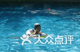 北京房山区游泳馆哪家好 