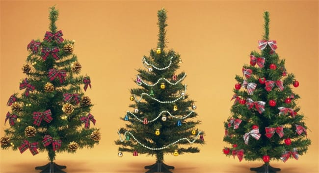 ​圣诞树一般是什么树 装饰圣诞树起源于谁