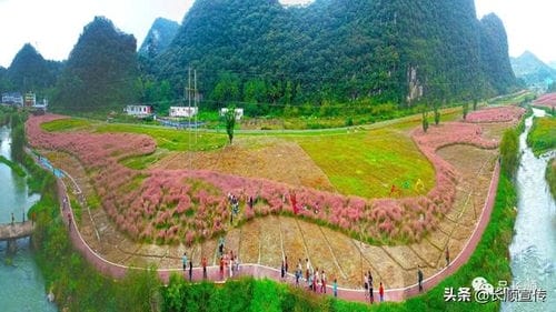 到世外桃源,看花花世界 ▎我在顺城等着您