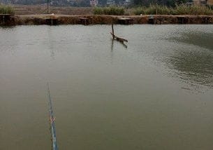柳州钓场大全,柳州周边钓鱼场所一览,柳州哪有钓鱼好地方 2 柳州爱钓网 