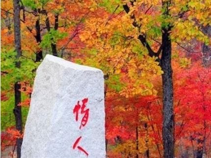 北京 红叶 有香山,吉林 红叶 必须要去蛟河红叶谷