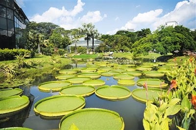 华南国家植物园揭牌 将建设种质资源库 