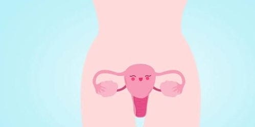 保护子宫比塑身修身更重要,每天4式瑜伽,让子宫和卵巢更有活力