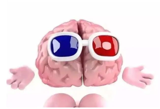 ​左脑控制什么 左脑支配哪侧身体