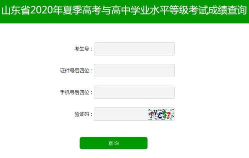 山东济宁初中会考成绩查询(山东济宁初中会考成绩查询入口)