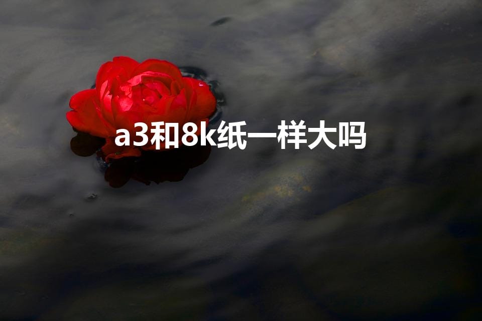 a3和8k纸一样大吗（8K纸和A3纸一样大吗）