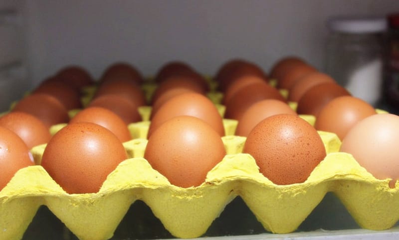 鸡蛋能放冰箱保存多久（鸡蛋能在冰箱放多久）