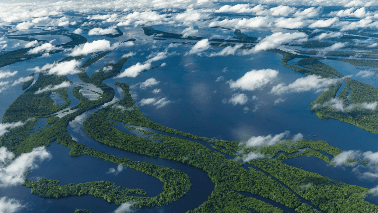 亚马逊河在哪个国家(亚马逊河十大恐怖生物)