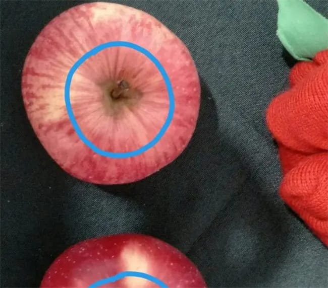 挑苹果有小诀窍 牢记苹果上的这个“小机关” 一眼能看出甜不甜