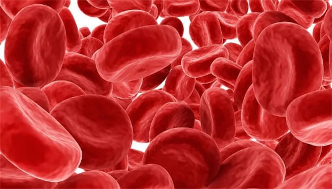 血细胞正常值是多少 血细胞分为哪些