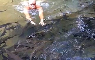 男子发现河里有很多鱼,于是跳下去抓鱼,结果差点发生了意外