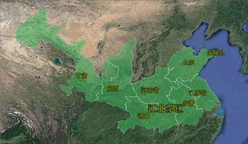 中国四大茶区,哪一个才真正算得上 很牛 呢