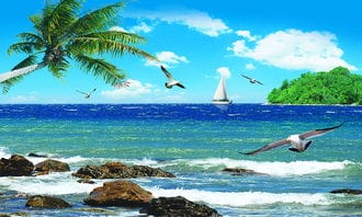 海边椰树海鸥石头海水风景壁画