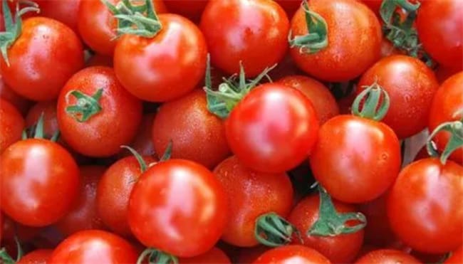 西红柿为什么可以祛斑 西红柿有什么作用