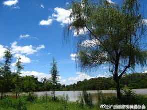 广西最早的国家级森林公园 良凤江森林旅游区 组图
