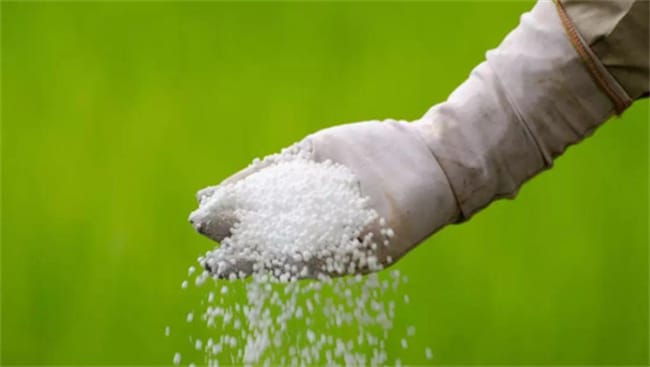 磷肥有哪些 磷肥是什么肥料