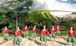 春英广场舞 卓玛 唯美藏族舞 背面演示及分解教学 编舞春英
