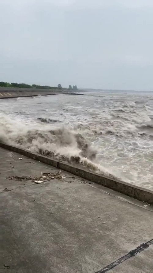 钱塘江涨潮了 