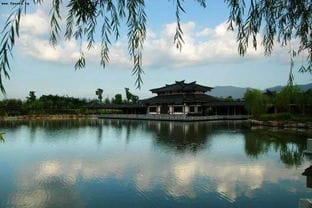 杭州最适合一日游的免费景点,够你玩到地老天荒