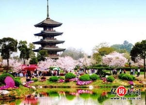 阳春三月又到赏花季 武汉东湖景区游玩避堵攻略公开 
