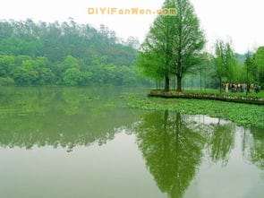 南宁良凤江国家森林公园图片 南宁良凤江国家森林公园风景图片 