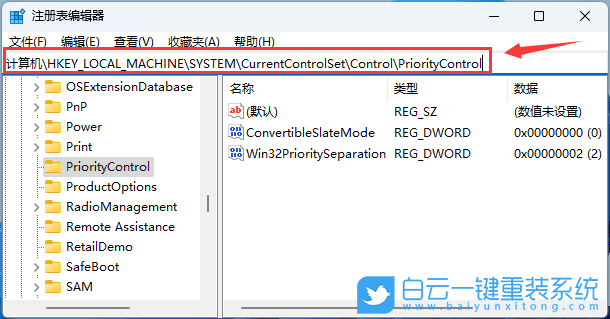 Win11,文件,复选框步骤