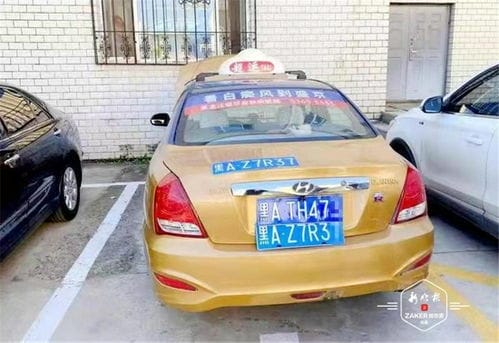 哈尔滨一驾驶员因多项违法行为被交警部门取缔 
