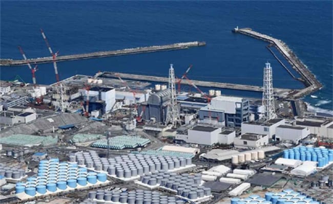日本执意排放核污水入海 有哪些危害