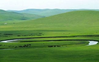 什么时候去内蒙古旅游最好,去哪个草原最好 