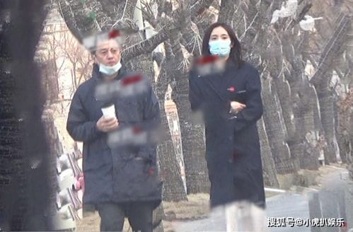 李亚鹏欠款风波后 有媒体拍到了李亚鹏与女友海哈金喜一同出街的照片