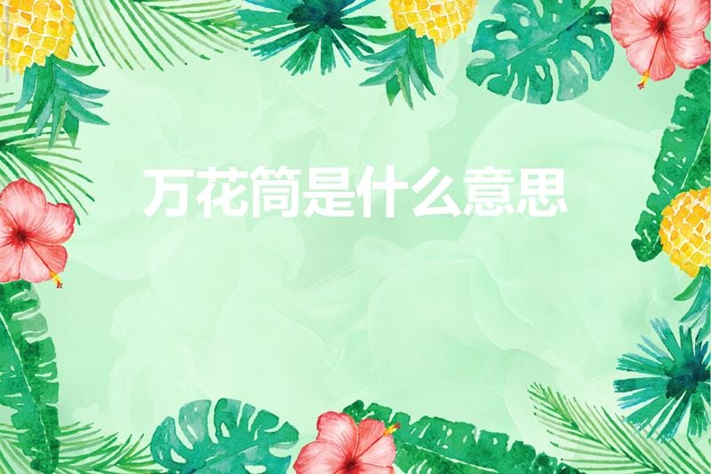 万花筒是什么意思（万花筒是什么东西啊）