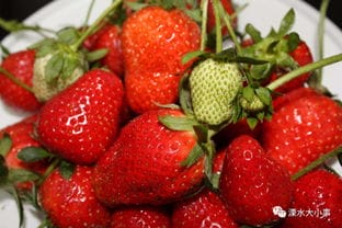 溧水的草莓竟然这么 厉害 年产万吨,畅销海内外 