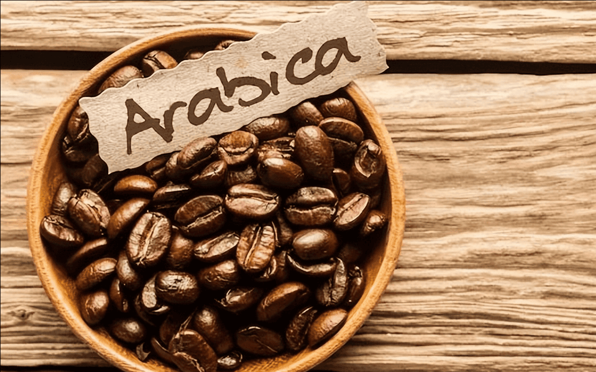 阿拉比卡咖啡豆什么档次（阿拉比卡vs罗布斯塔的特点）