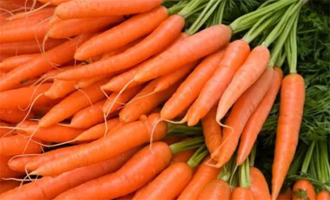 什么样的胡萝卜最好吃 挑选胡萝卜的方法你知道几条 实用