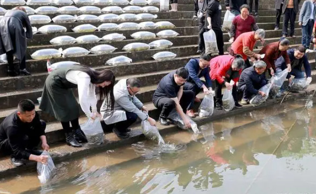 ​广东多人往海里放生60多箱矿泉水 有哪些问题
