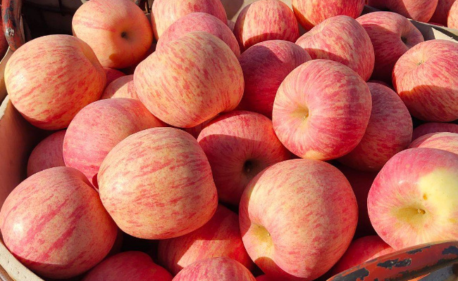 为什么苹果不可以让其他水果保持新鲜  吃苹果有什么好处