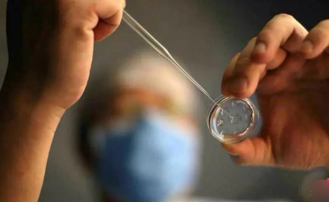 丈夫去世 医院拒绝为妻子胚胎移植是否合法