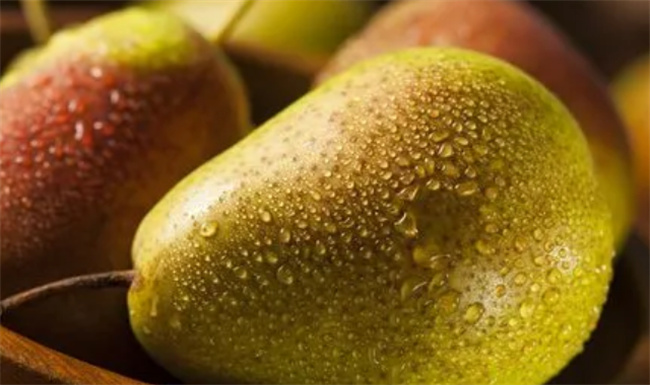 ​梨的功效与作用是什么 梨是热性还是凉性