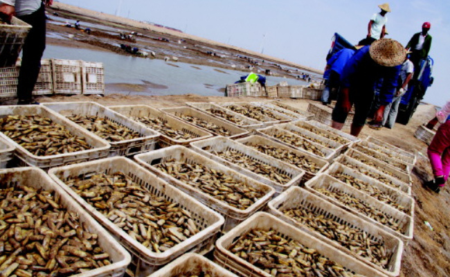 ​新疆没有海为什么能养海鲜