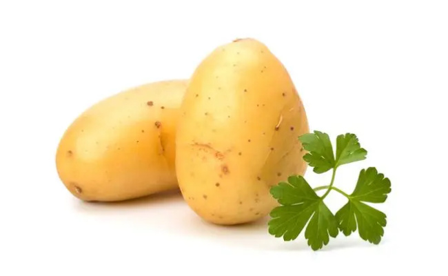 ​土豆怎么保存不发芽  土豆保存方法有哪些